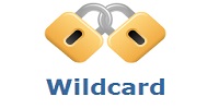 Wildcard SSL Certificates